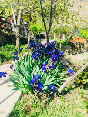 Barranco de la Salud, Laroles